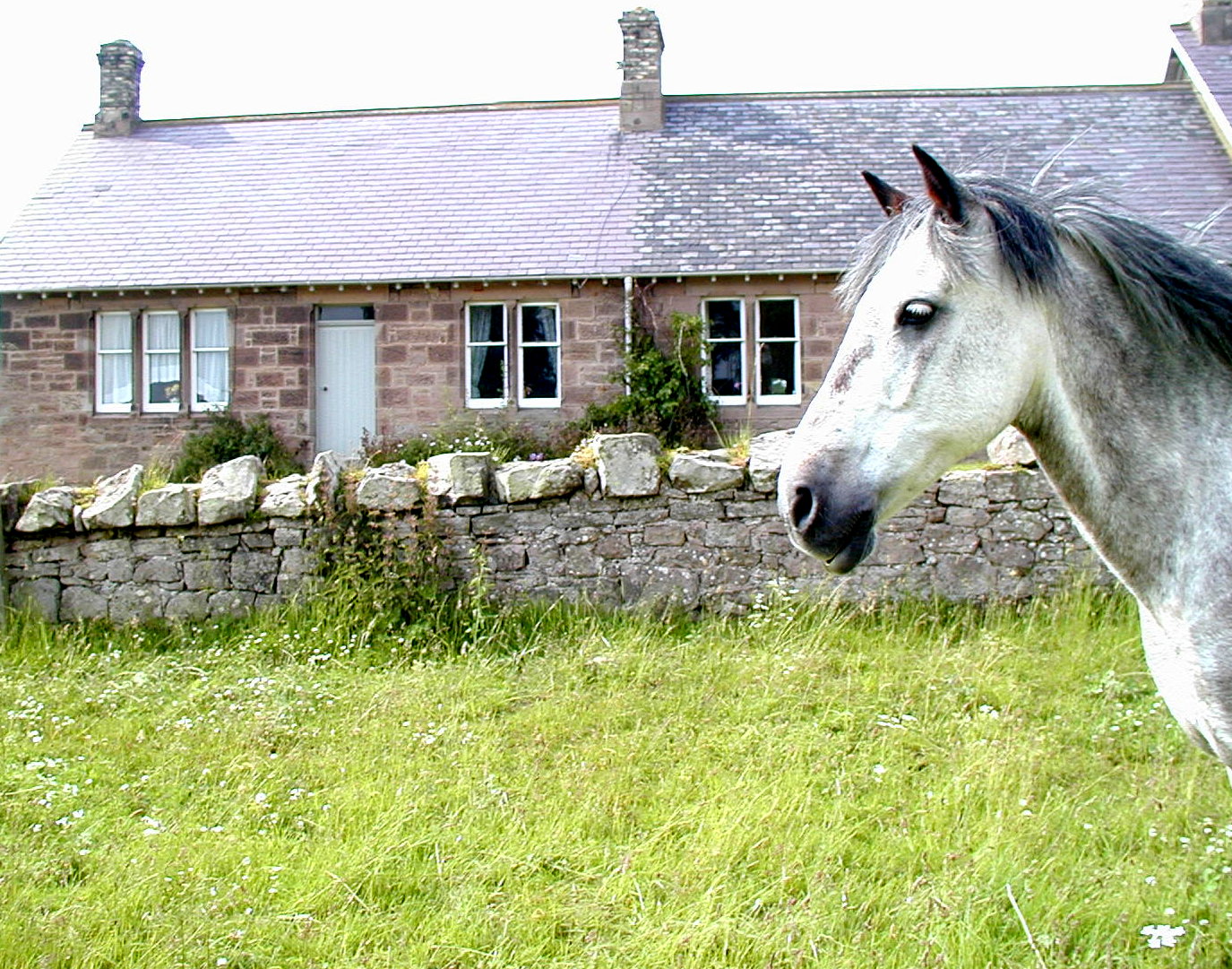 Riding holidays at Kimmerston Riding Centre