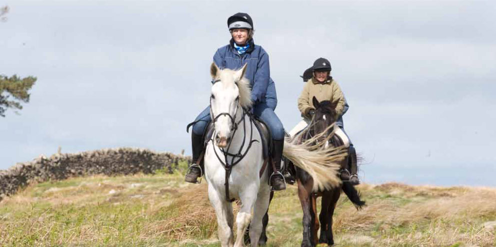 Horse riding in the Cheviot Hills with Kimmerston Riding Centre
